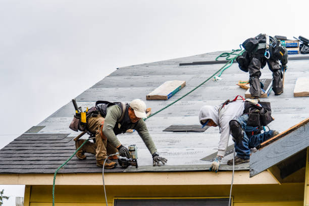 Professional Flat Roof Repair technician working in Shelbyville, IN